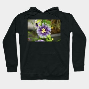 Passionsblume / Swiss Artwork Photography Hoodie